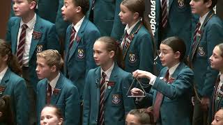 Sy Stem Composer Franco Prinsloo