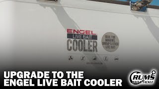 Upgrade To The Engel Live Bait Cooler | Crum's Bait & Tackle Crum S Mini Mall
