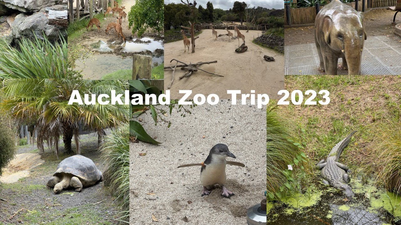 Auckland Zoo Trip 2023