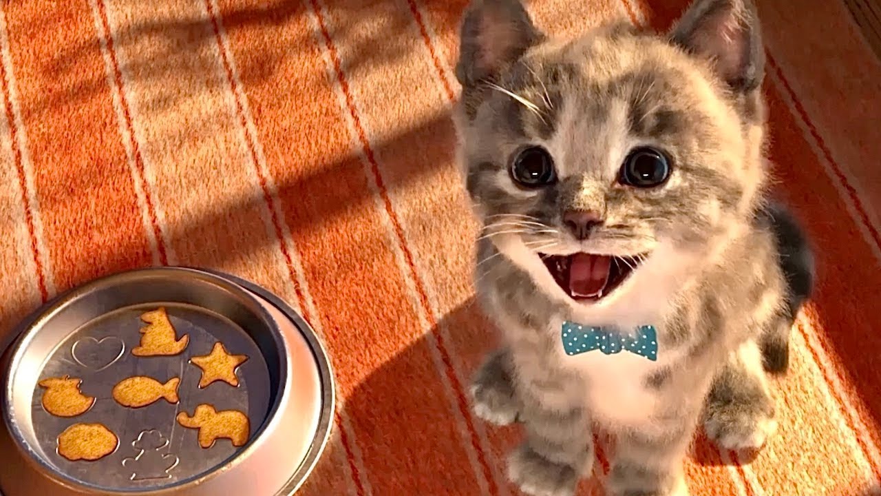 Little Kitten Preschool Adventure Educational Games -Play Fun Cute Kitten Pet Care Learning IOS #661