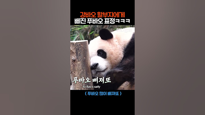 강바오 할부지에게 삐진 푸바오 표정 ㅋㅋㅋ #애니멀봐 #shorts