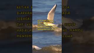 Fakta Kecewa Dewasa Jiwa