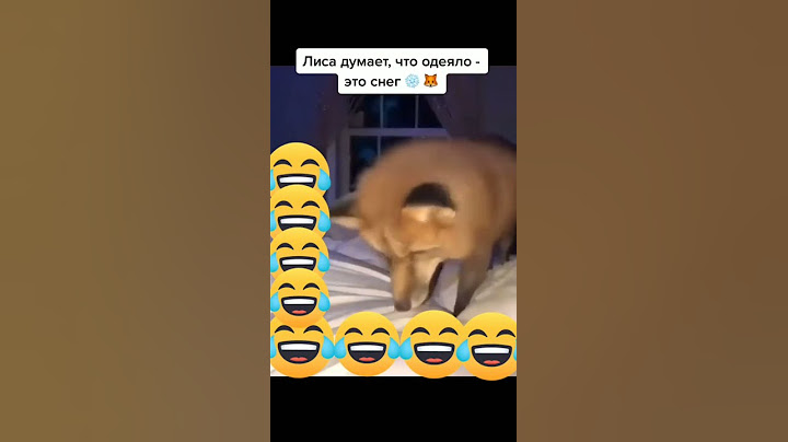 Лиса думает , что это снег....приколы тик ток