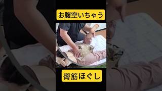 【グゥ～】ツボ押し+足をくるくる