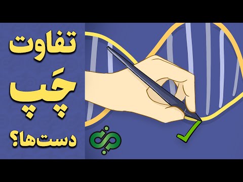 چرا تعداد افراد راست دست، بیشتر از تعدا افراد چپ‌ دست هست؟