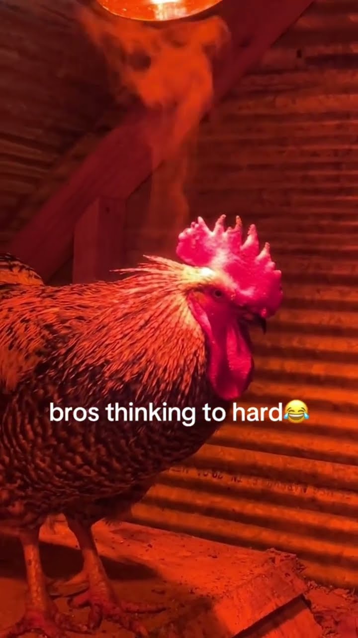 Bro thinking mad hard he’s like there is a way