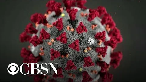 Separating fact vs. fiction during global coronavirus outbreak