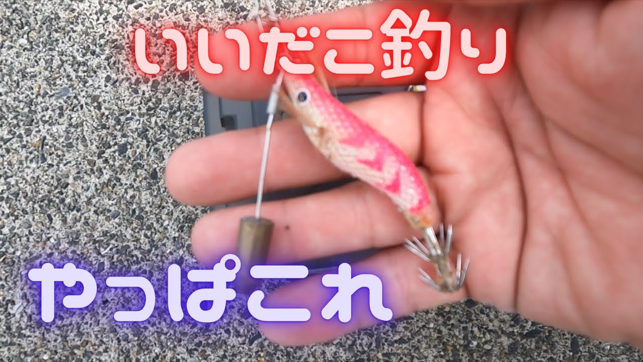 根がかりをなくしたい イイダコ釣り Youtube