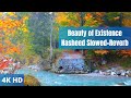 The Beauty of Existence Nasheed (Slowed Reverb) | Relaxing Meditation Deep and Calm Sleep, Soothing.