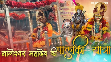 Nageshwar mahadev ki palki yatra 2025🙏🏻 The vlogger mp15 sagar mp 