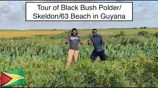 TOUR OF BLACK BUSH POLDER/SKELDON/63 BEACH IN GUYANA