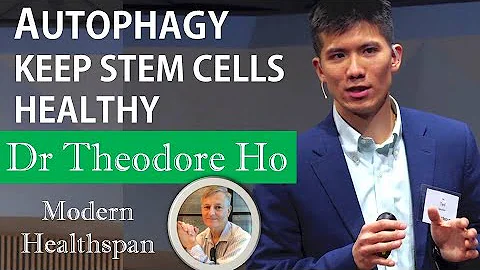 Autophagy Keeps Stem Cells Healthy | Dr. Theodore ...