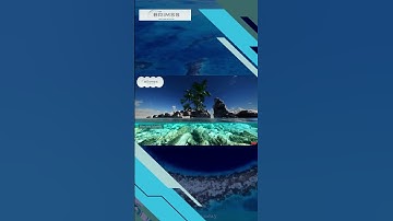 Journey to the Deepest Point on Earth: Exploring the Mariana Trench