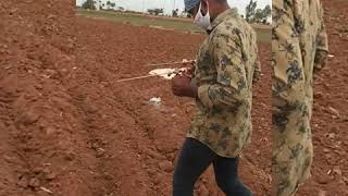 Pendulum dowsing all instrument successful water