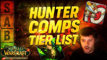 BEST & WORST Hunter 2v2 Comps in MoP — Ranked & Explained!