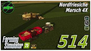 FS 25 🚜 NF Marsch 514 - 3 Mio litri di carote #fs25 #letsplay