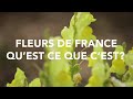 Fleurs de france  prsentation  2023