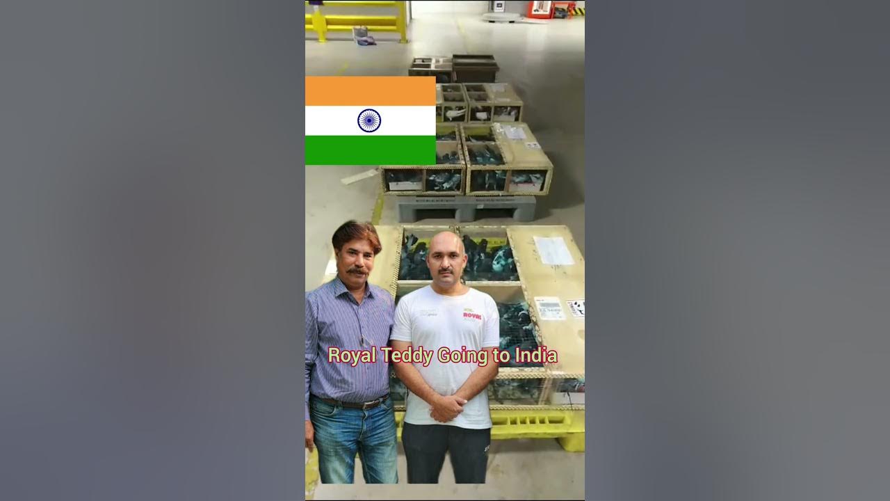 Alhamdulillah Reached Safely India 923133348255 Shahid Rajput alhamdulillah-reached-safely-india-923133348255-shahid-rajput