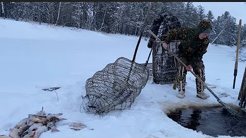 Рыбное озеро! 👀Часть 2. Кормлю оленей рыбой 🦌