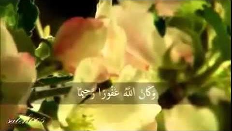 تأمل في خلق الله الطبيعة المذهلة مع تلاوة عذبة للشيخ خالد الجليل ابداع رباني سبحان الله