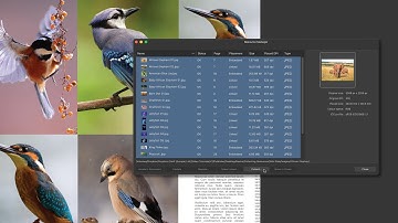 Collecting Resources (Affinity Publisher)