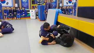 20190118 팀 고릴라주짓수 동백 세미나 (스파링 3)