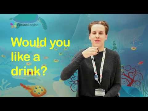 How To Sign Would You Like A Drink
