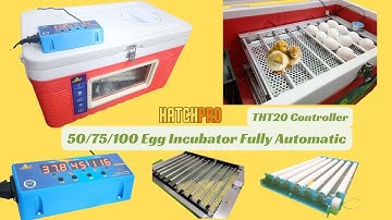 Best 3 Fully Automatic egg incubator in India | Egg hatching machine | Low cost incubator