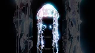 jellyfish concept @maddiequik #dresstoimpress #dti #3dmodel #blender #3dart #3dmodeling