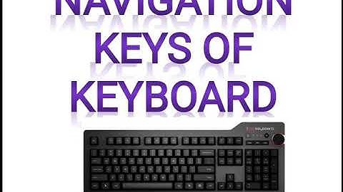 Class-3rd Computer Chapter-3(Keyboard and Mouse) Part-2