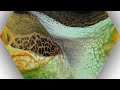 (76) Acrylic Pour Painting/Sheleeart Swipe technique/Fluid Art/Abstract フルイドアート/スワイプテクニック/アクリルポーリング/