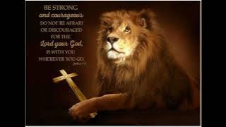 Une Simba Reshumba yerudzi rwaDavita