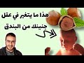 كيف يؤثر البندق على عقل الجنين .. A kind of nuts affects the mind of the fetus