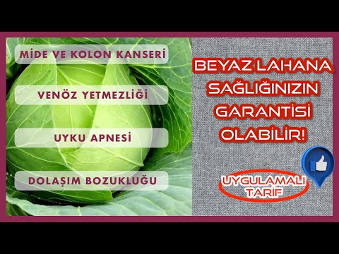 Капустное лекарство от апноэ во сне и венозной недостаточности