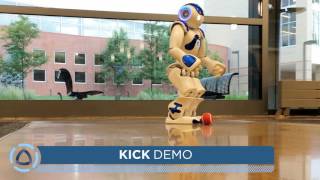 NAO Red Ball Tracking and Kicking Demonstration