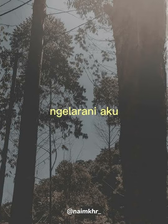 story'wa (Ati dudu kos-kosan) || NDX AKA