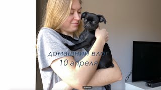 самоизоляция, 10 апреля