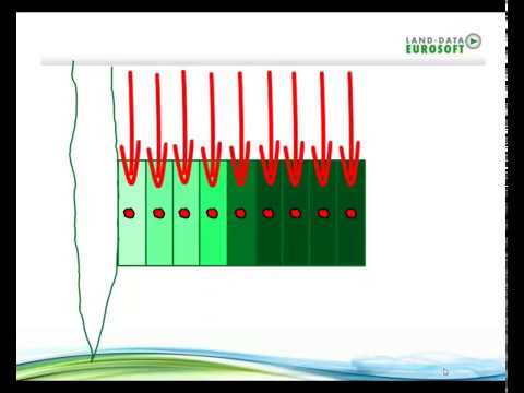 Video: Warum ist der Massenfluss wichtig?