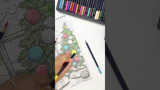 Christmas Time Spiral Bound Coloring Book for Adult By LBKHOUSE Author
