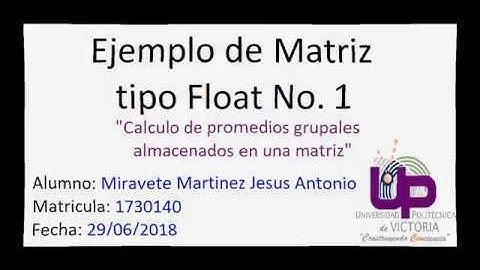Ejemplo de matriz tipo float #1 | 1730140