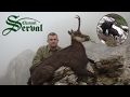 Balkan Chamois Hunting in the Croatian mountains -Velebit - Gamsjagd in Kroatien -Velebit