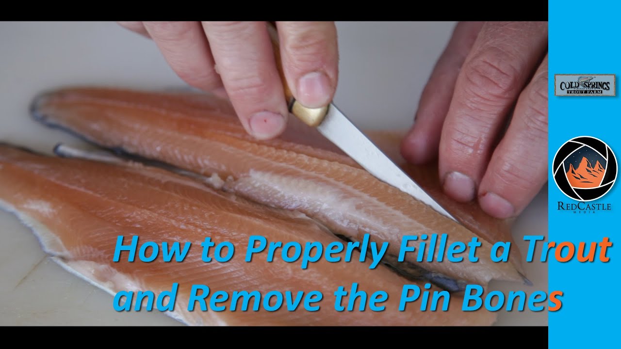 How to Properly Fillet a Trout and Remove the Pin Bones - How to Properly Fillet a Trout and Remove the Pin Bones