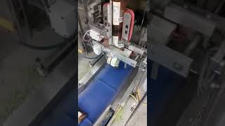 Pentavac Penta 2100  Bagging machine - Vertical -  Sachet machine