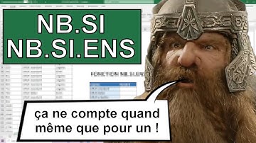 Fonction Excel : NB.SI et NB.SI.ENS, pour faire les comptes