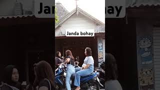 Download Lagu Duo janda MP3