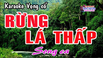 Karaoke tân cổ RỪNG LÁ THẤP - SONG CA [ Beat hay ]