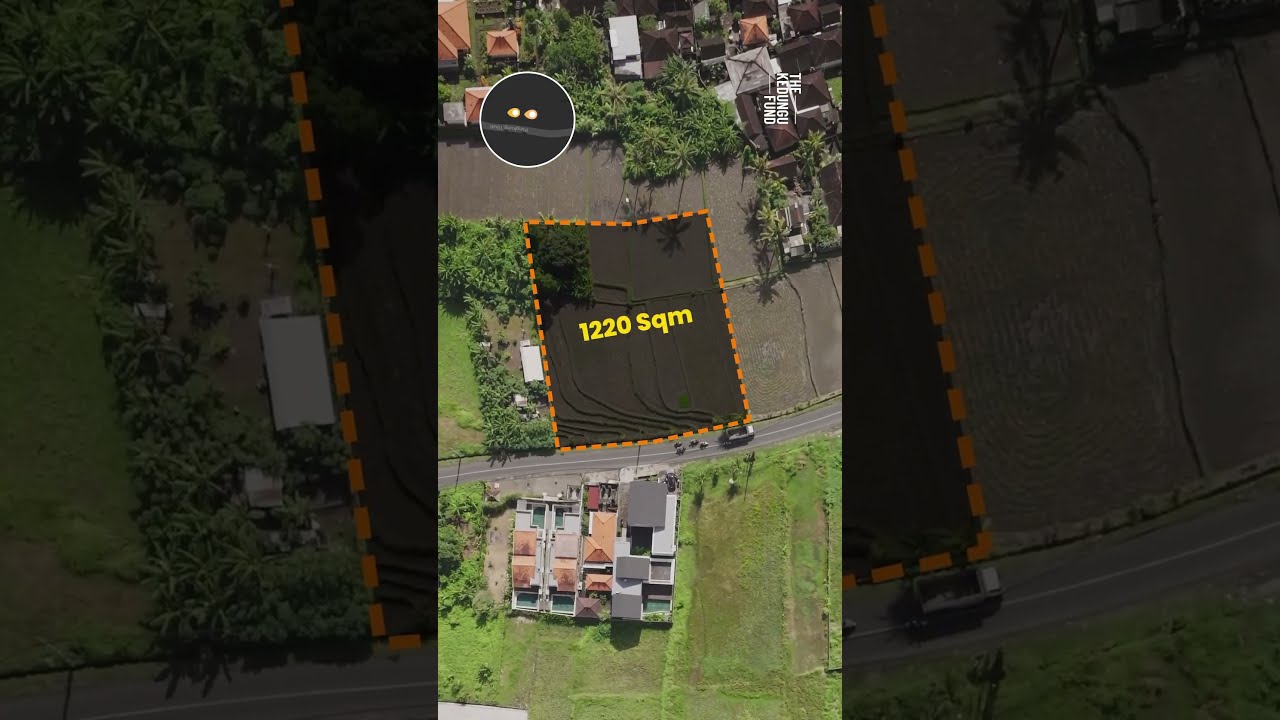 🌴 Kedungu From Above 🚁