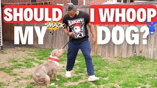Should You BEAT YOUR DOGS A**!?!?!?
