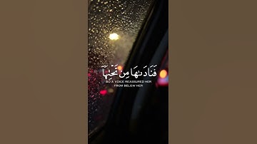 قالت يا ليتني مت قبل هذا وكنت نسيا منسيا-سورة مريم- شريف مصطفى🎧🫀 #ارح_سمعك #شريف_مصطفى #تلاوة_خاشعة