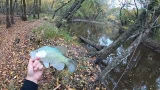 1 hour of creek crappie fishing from the bank during the winter Deleted videos included